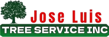 logo-trans